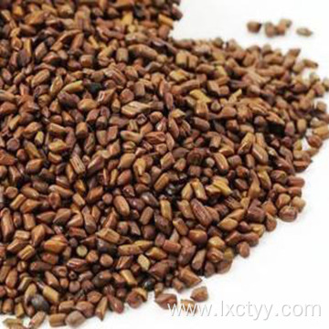 cassia seed for weight loss